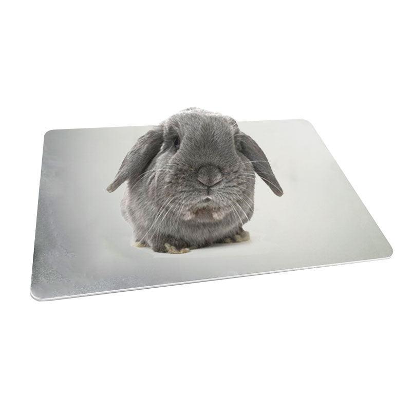 Cool Paws Aluminum Pet Cooling Plate - Beat The Heat For Your Furry Friends!