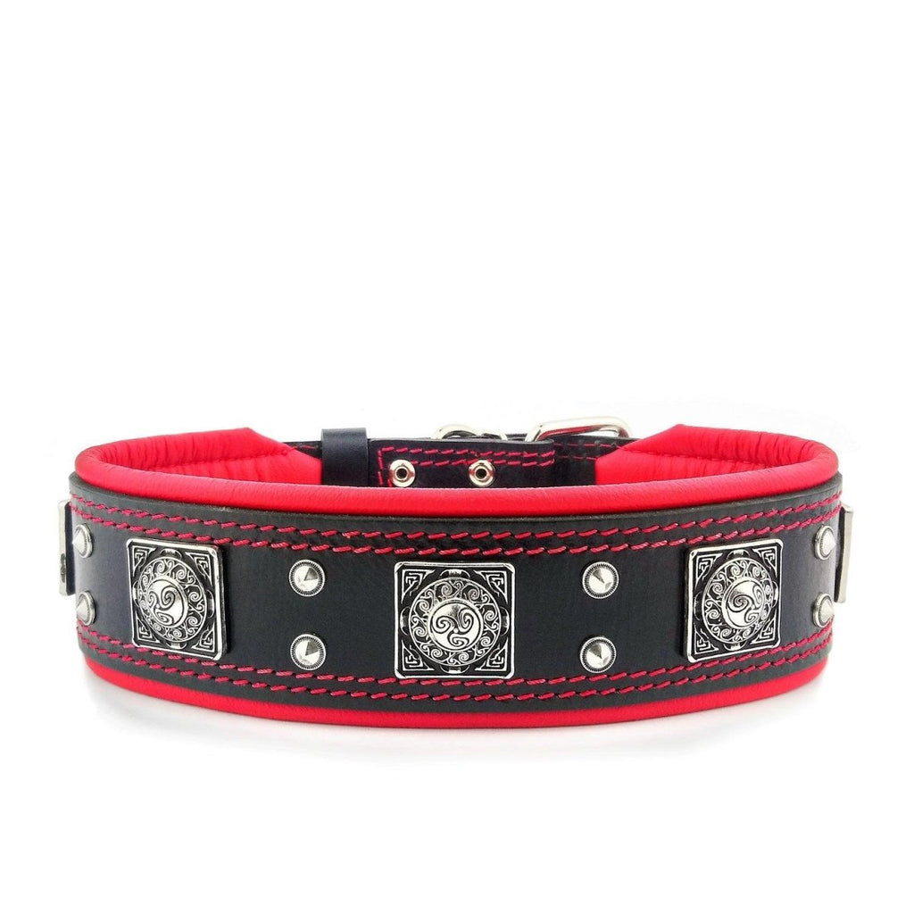 all dogs products all cats products all small animal products