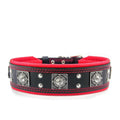all dogs products all cats products all small animal products