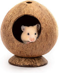 Cozy Coco Haven For Small Pets