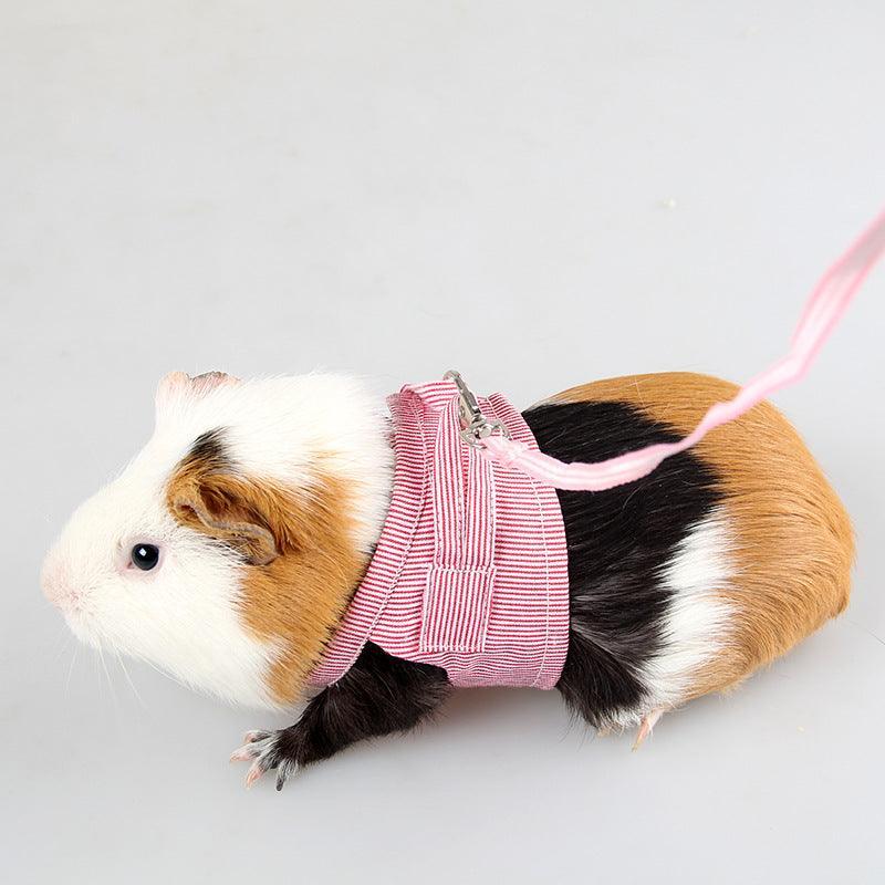 Cozy Cotton Traction Rope For Small Pets - Red And Blue Options Available