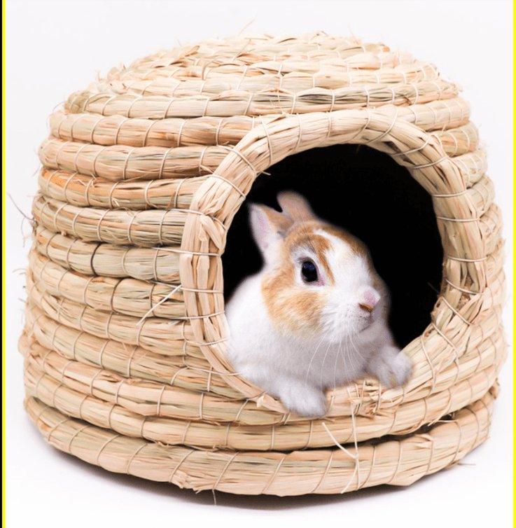 Cozy Critter Castle - Warm Winter Hamster Nest And Hedgehog House