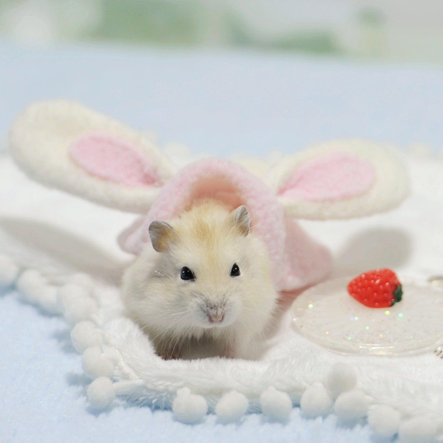 Cozy Critter Costumes For Your Adorable Hamster