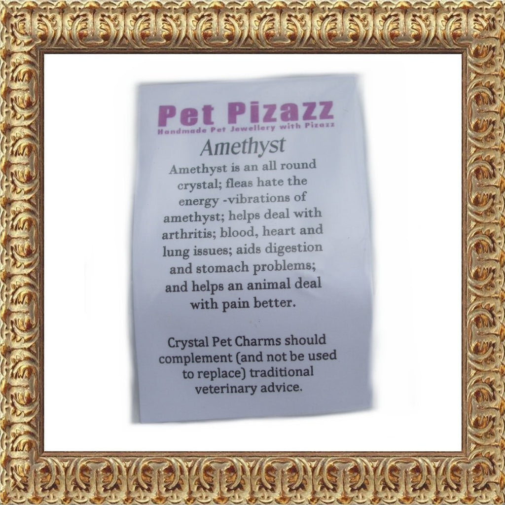 all dogs products all cats products all small animal products