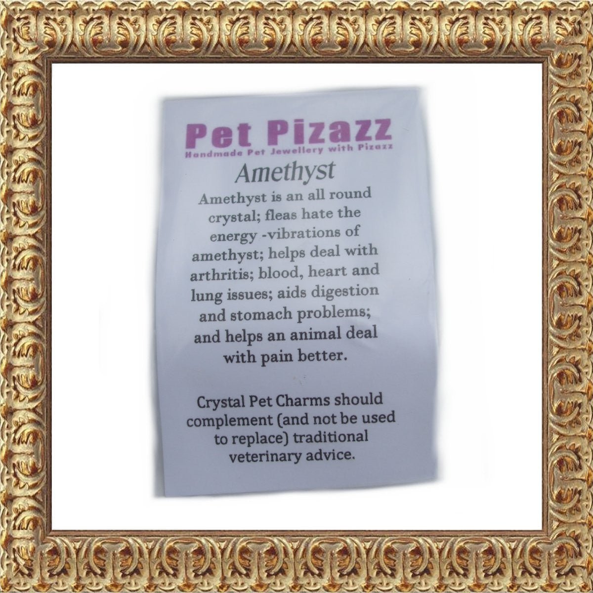all dogs products all cats products all small animal products