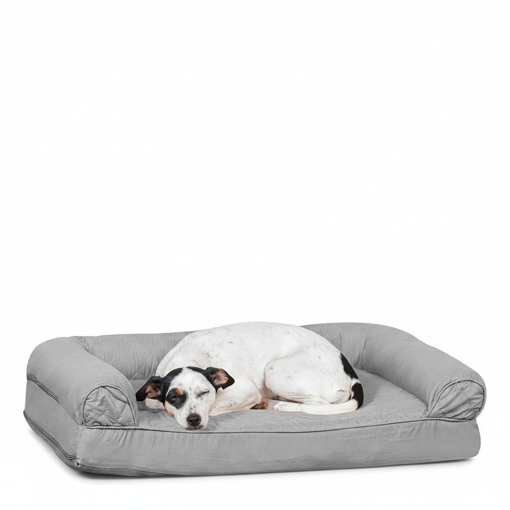 all dogs products all cats products all small animal products