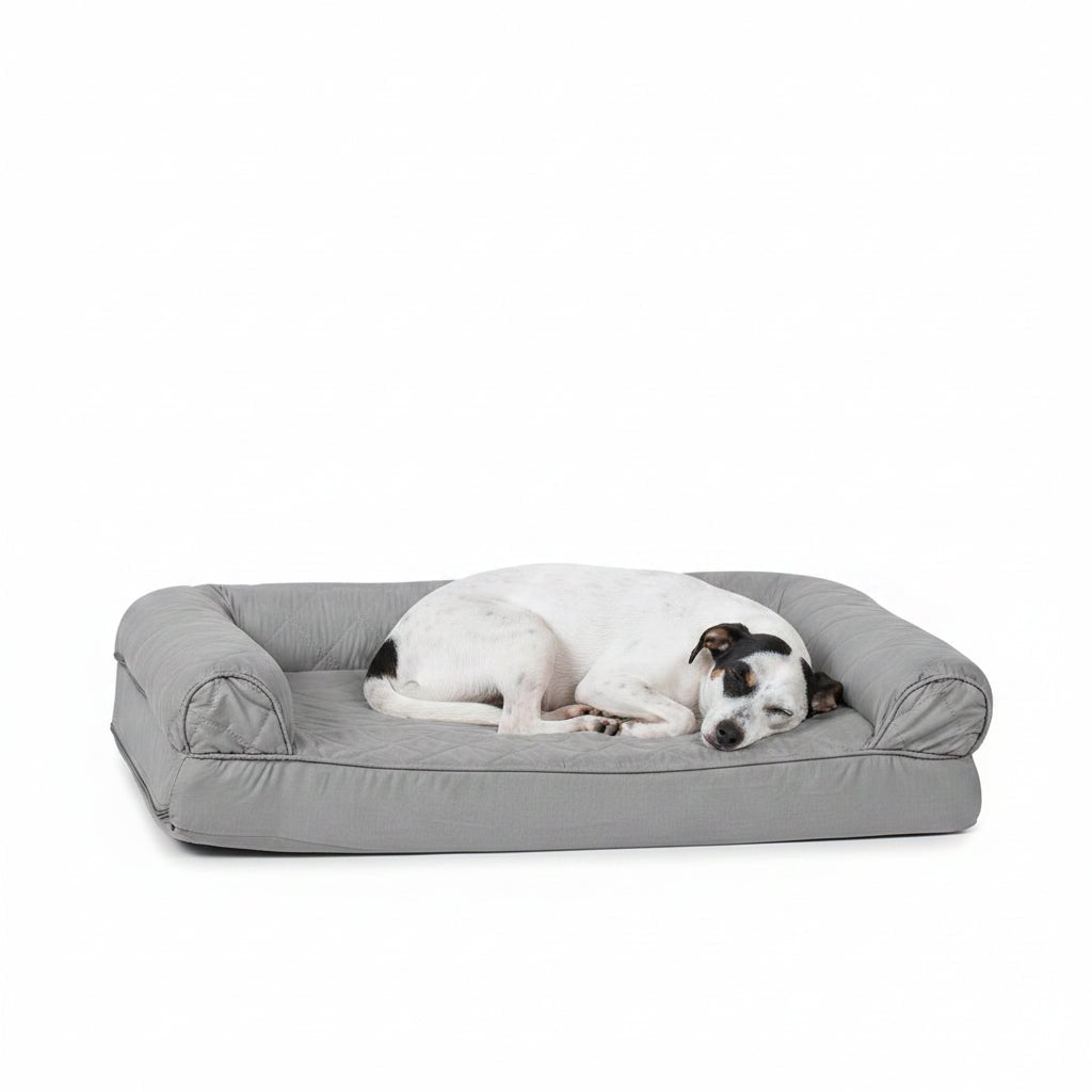 all dogs products all cats products all small animal products