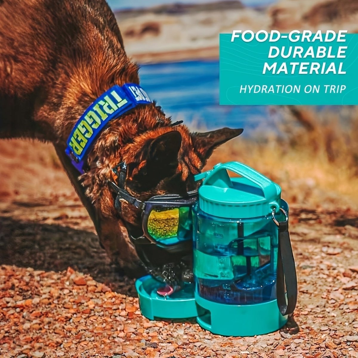 all dogs products all cats products all small animal products