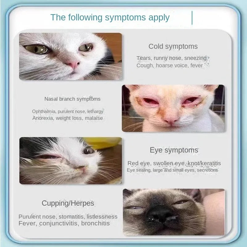 Cat Nose Branches, Sneezing, Thick Snout, Stuffed Nose, Cold, Small Eyes, Nutritional Supplements