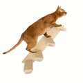 all dogs products all cats products all small animal products