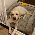 all dogs products all cats products all small animal products