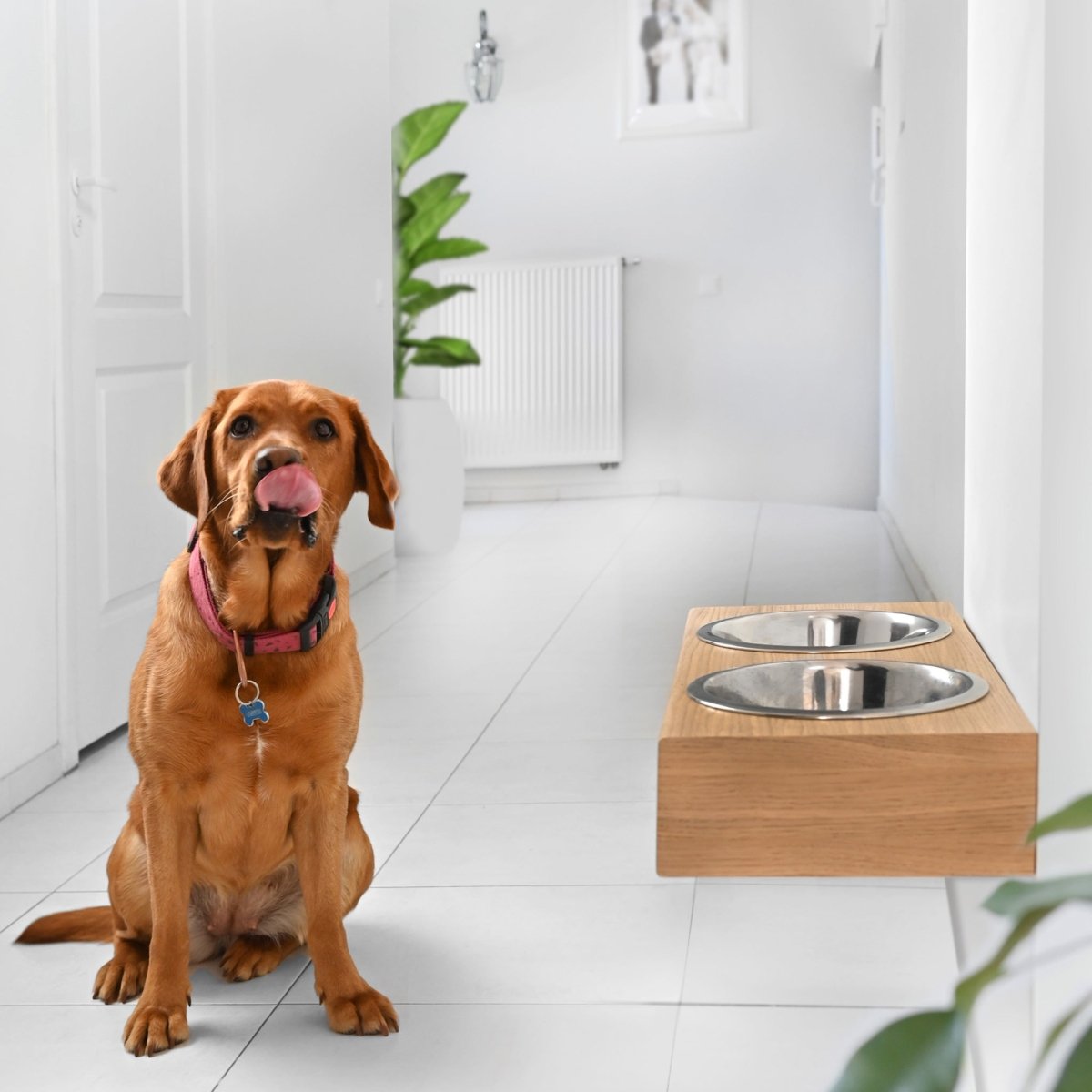 all dogs products all cats products all small animal products