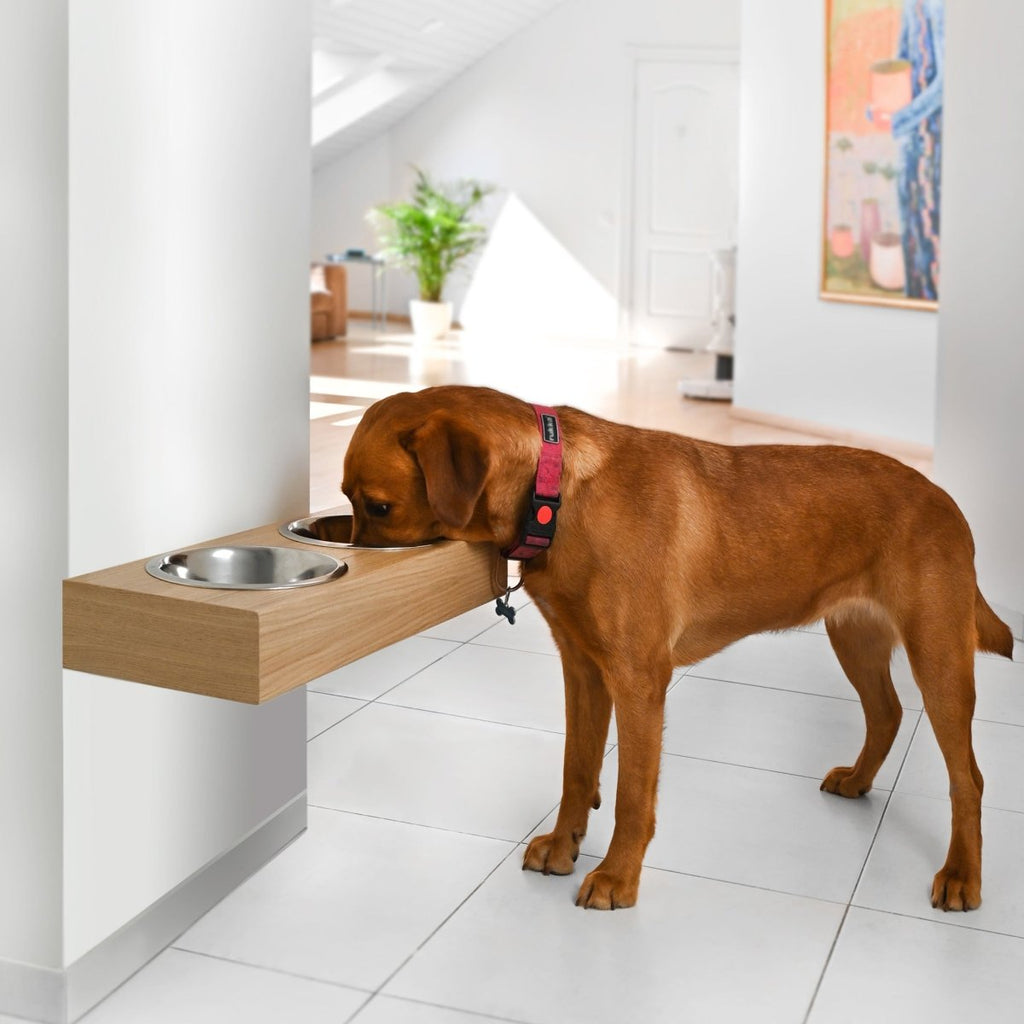 all dogs products all cats products all small animal products