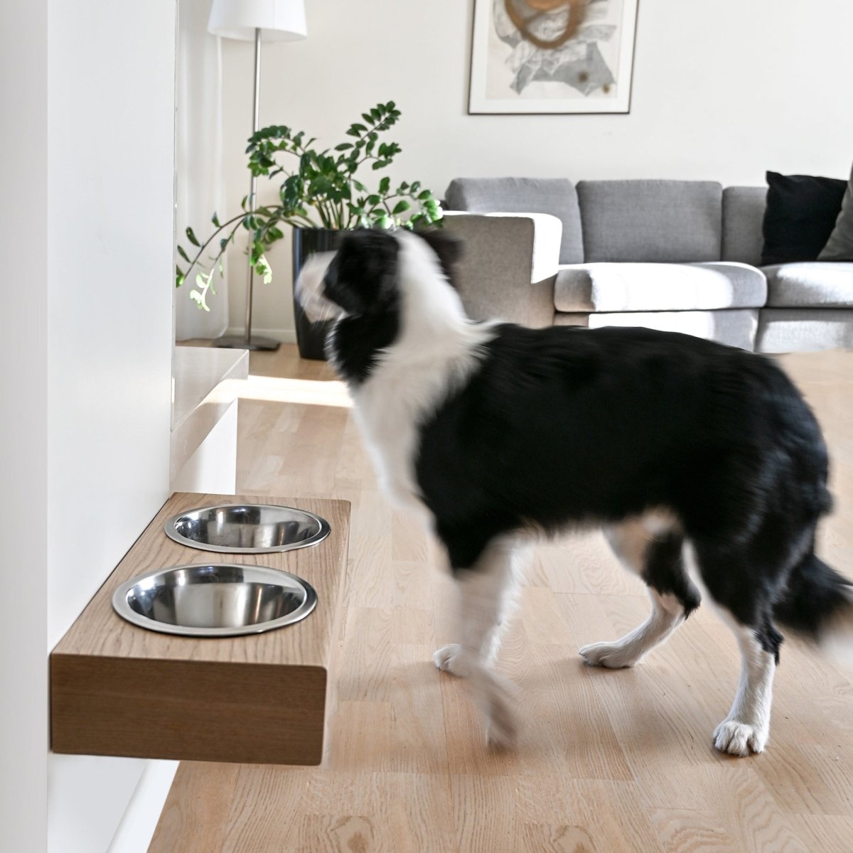 all dogs products all cats products all small animal products