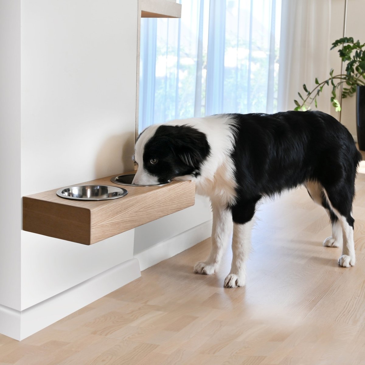 all dogs products all cats products all small animal products