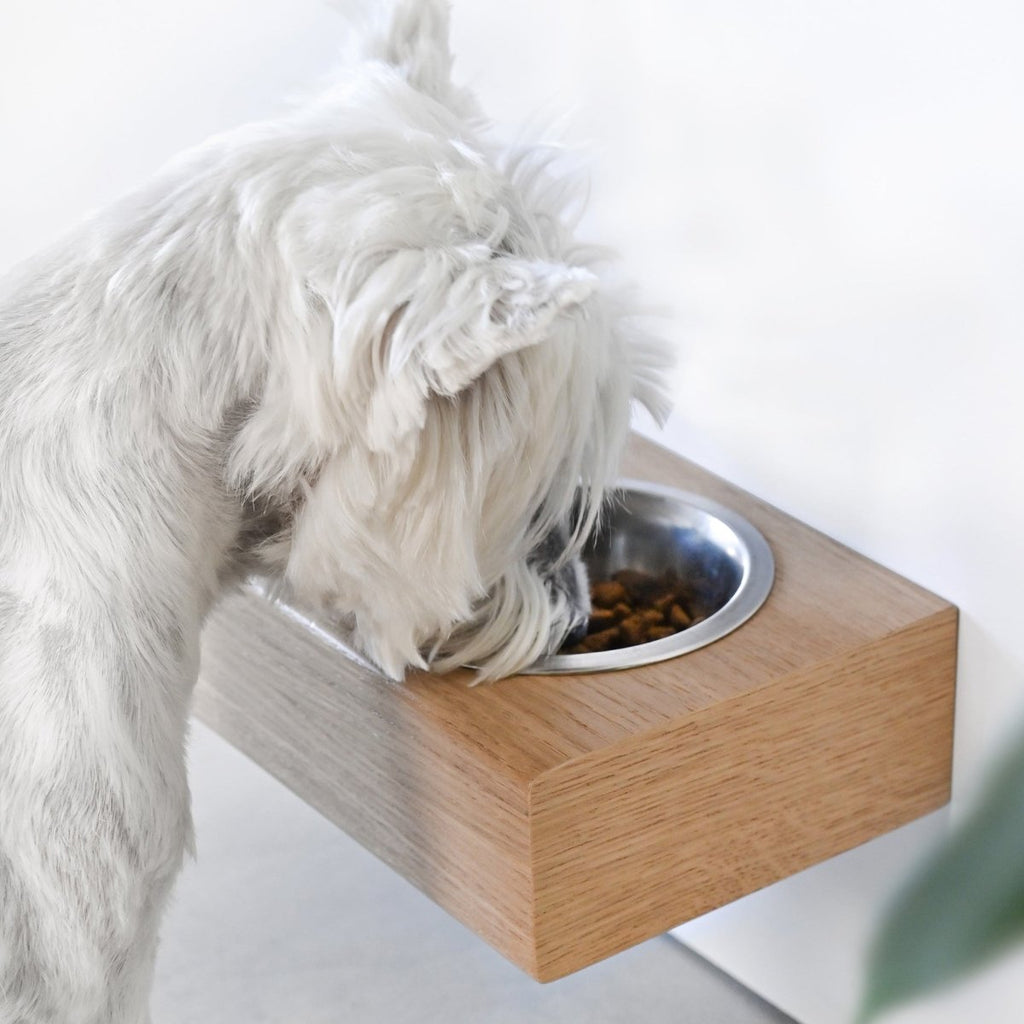 all dogs products all cats products all small animal products