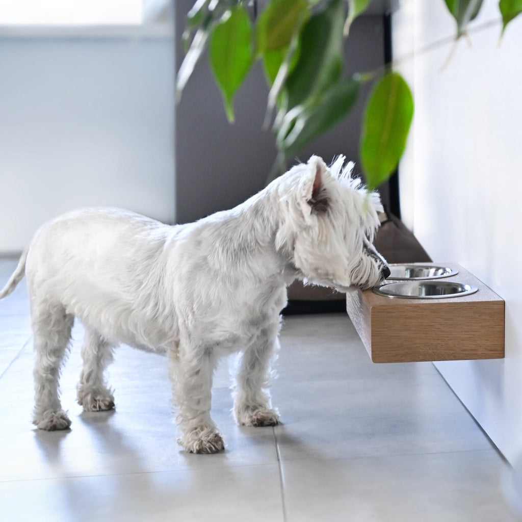 all dogs products all cats products all small animal products