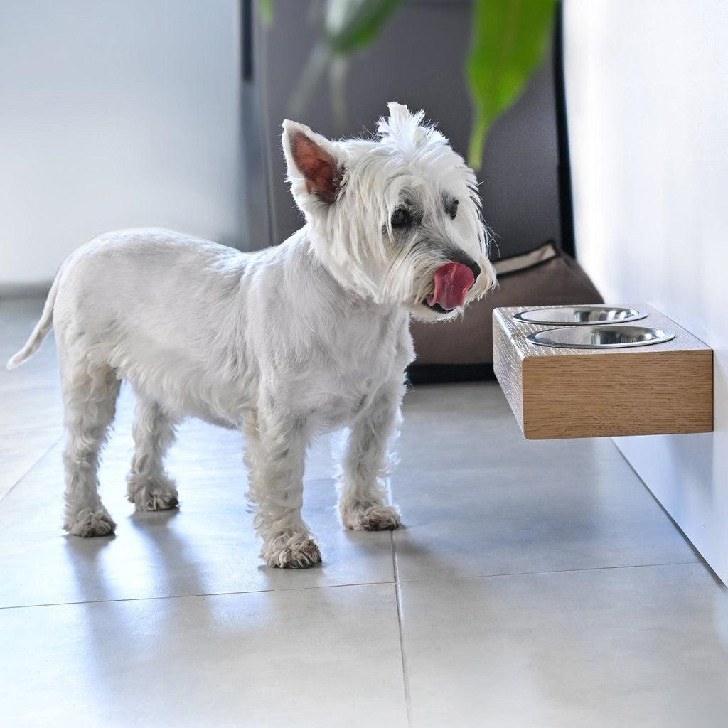 all dogs products all cats products all small animal products