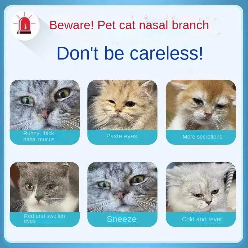 Cat Nose Branches, Sneezing, Thick Snout, Stuffed Nose, Cold, Small Eyes, Nutritional Supplements