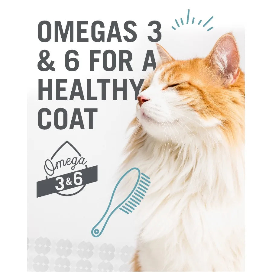 Wet Cat Food Variety Pack for Indoor Cats Chicky-Da-Lish, Salmon Chanted Evening Tuna Fintastic in Assorted Flavors, Grain-Free