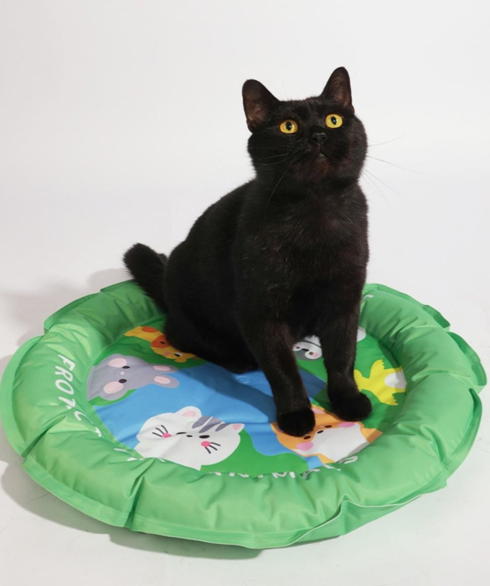 all dogs products all cats products all small animal products