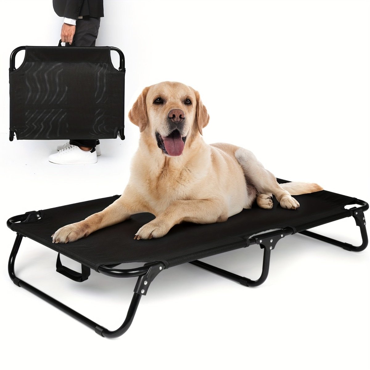 all dogs products all cats products all small animal products