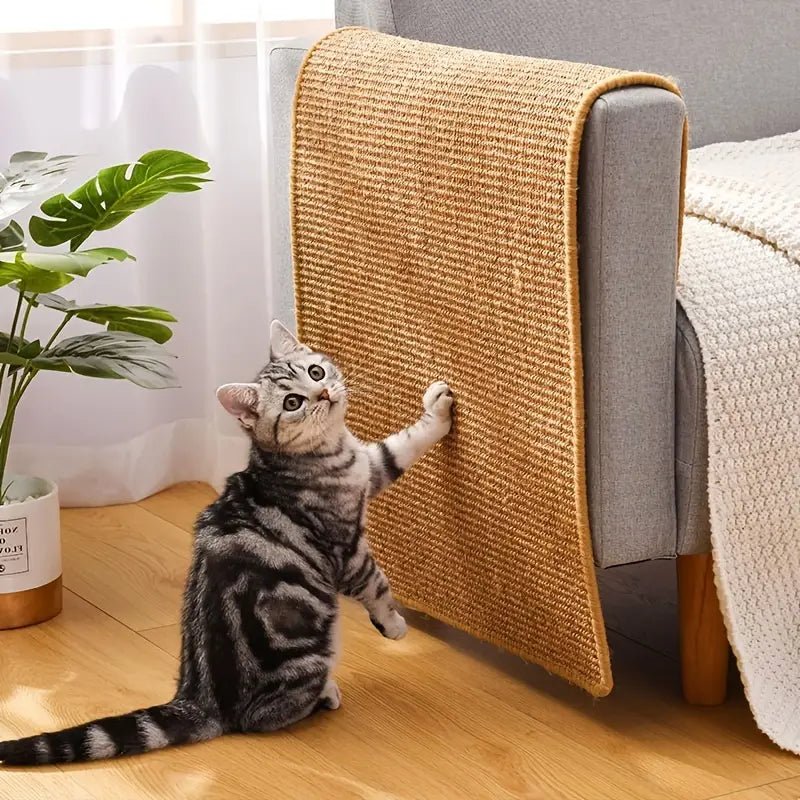 all dogs products all cats products all small animal products