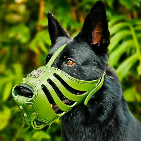 all dogs products all cats products all small animal products