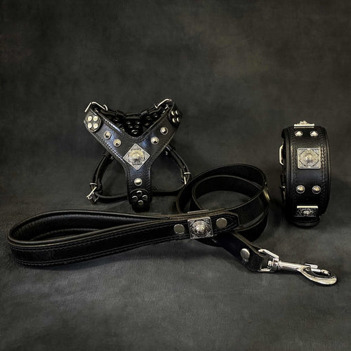 all dogs products all cats products all small animal products