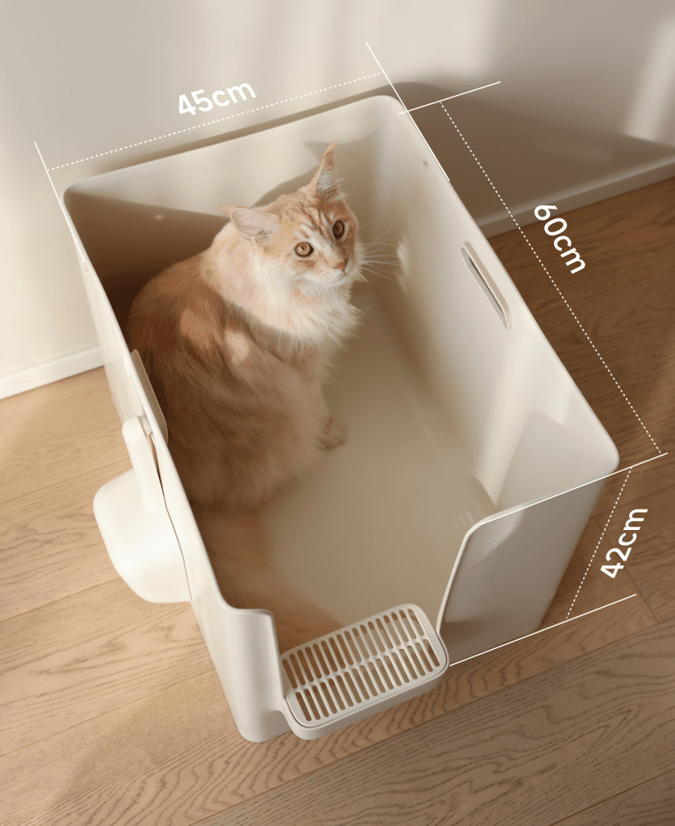 all dogs products all cats products all small animal products