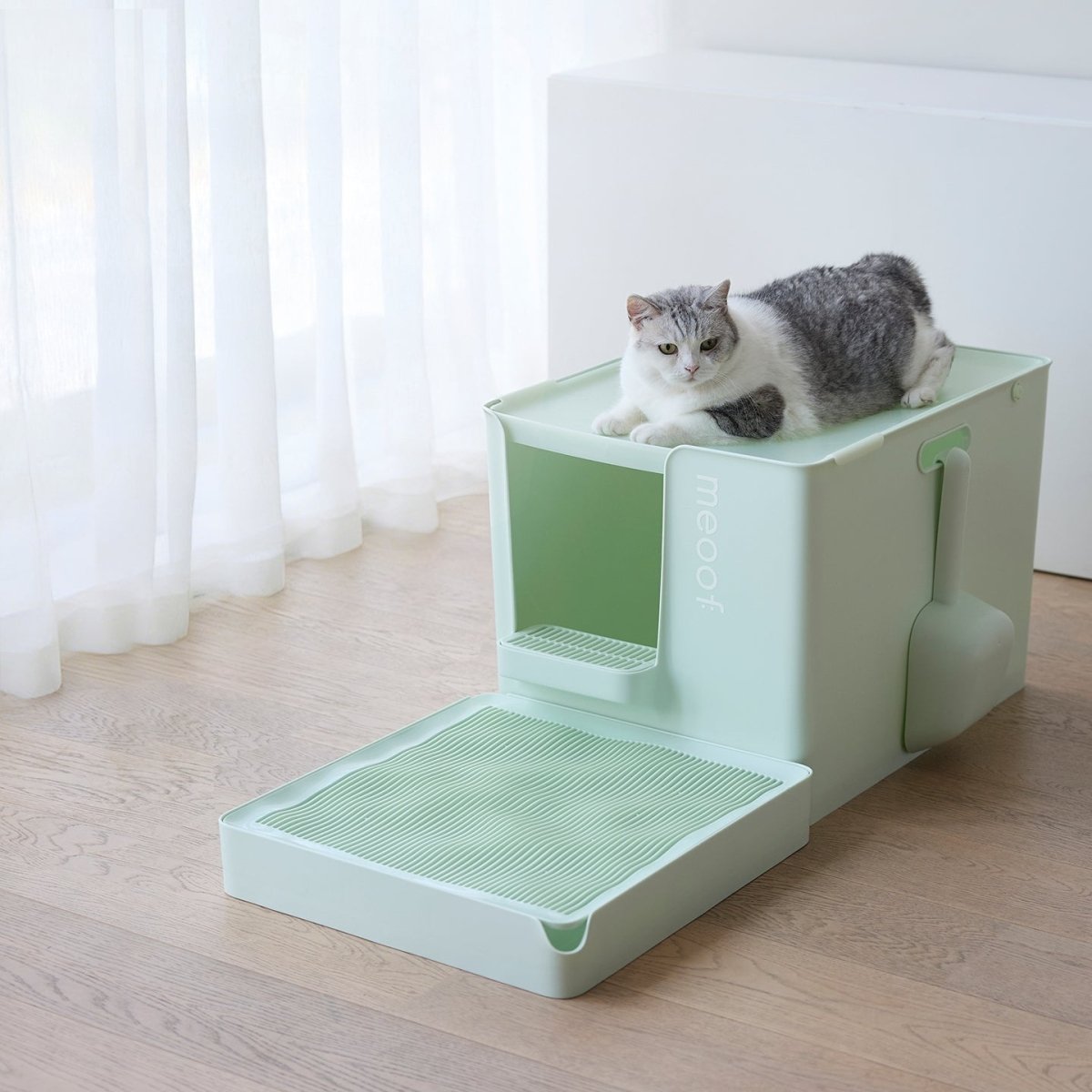all dogs products all cats products all small animal products