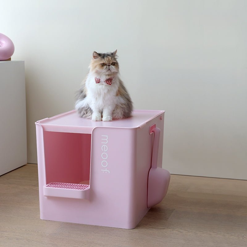 all dogs products all cats products all small animal products