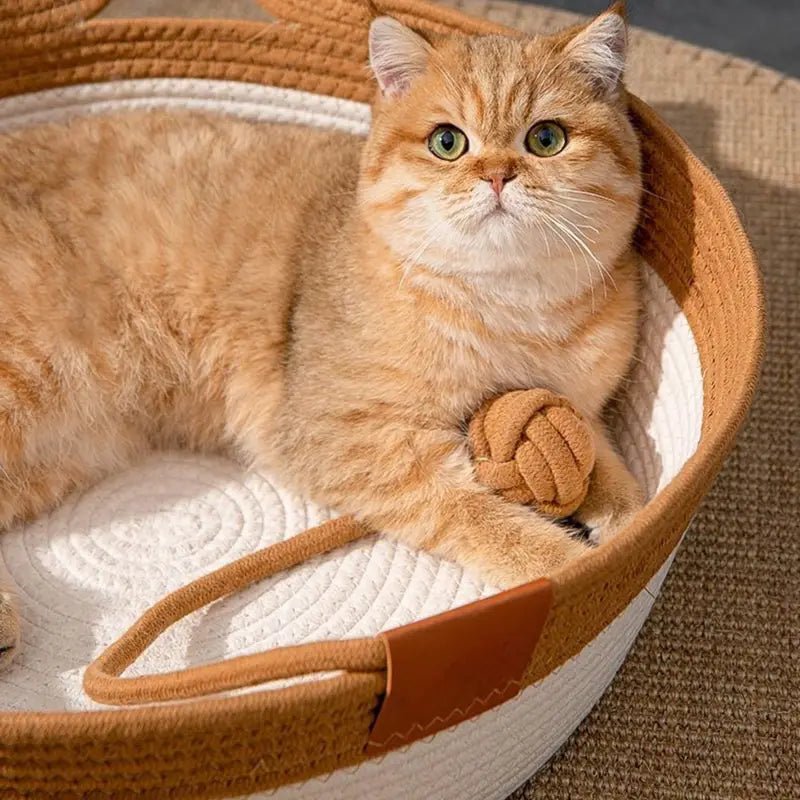 all dogs products all cats products all small animal products