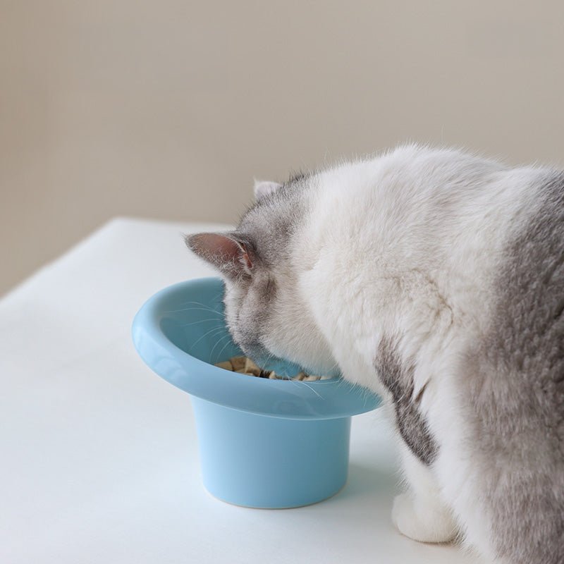 all dogs products all cats products all small animal products