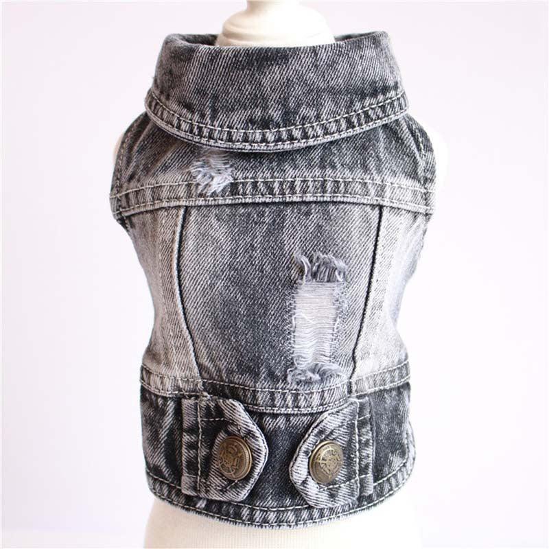 Stylish Denim Dog Jacket: Trendy Pet Fashion For Small Dogs