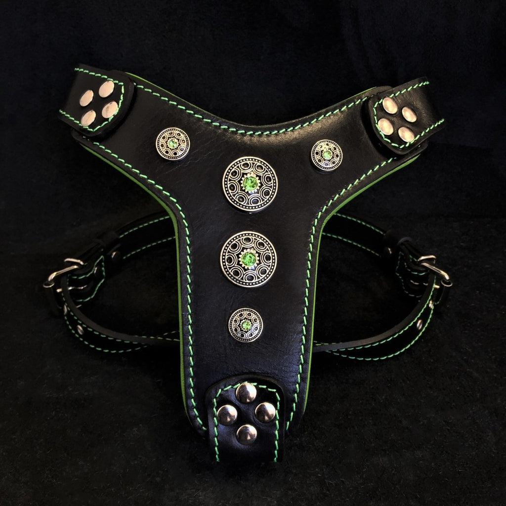 all dogs products all cats products all small animal products