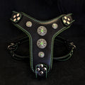all dogs products all cats products all small animal products
