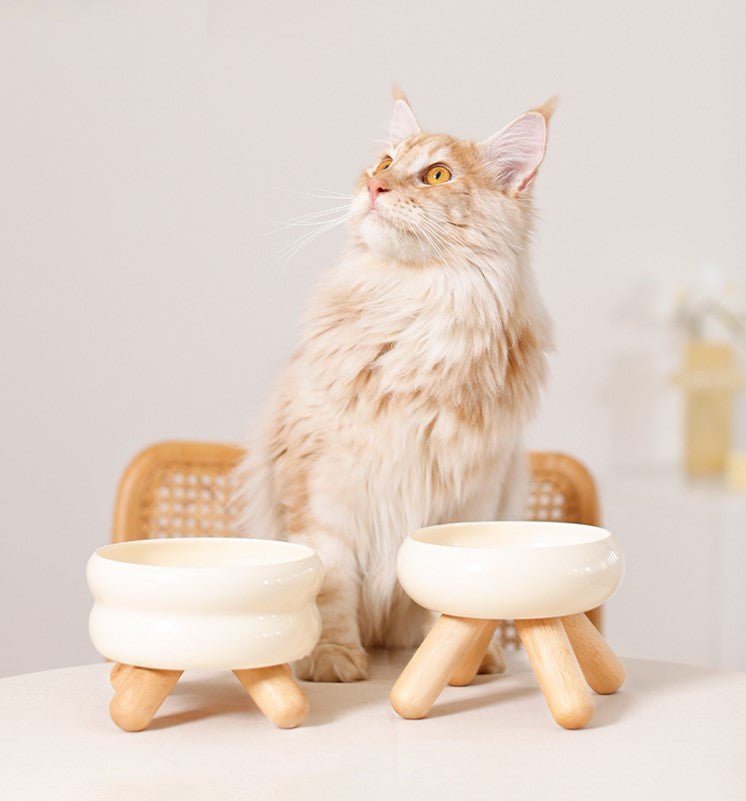 all dogs products all cats products all small animal products