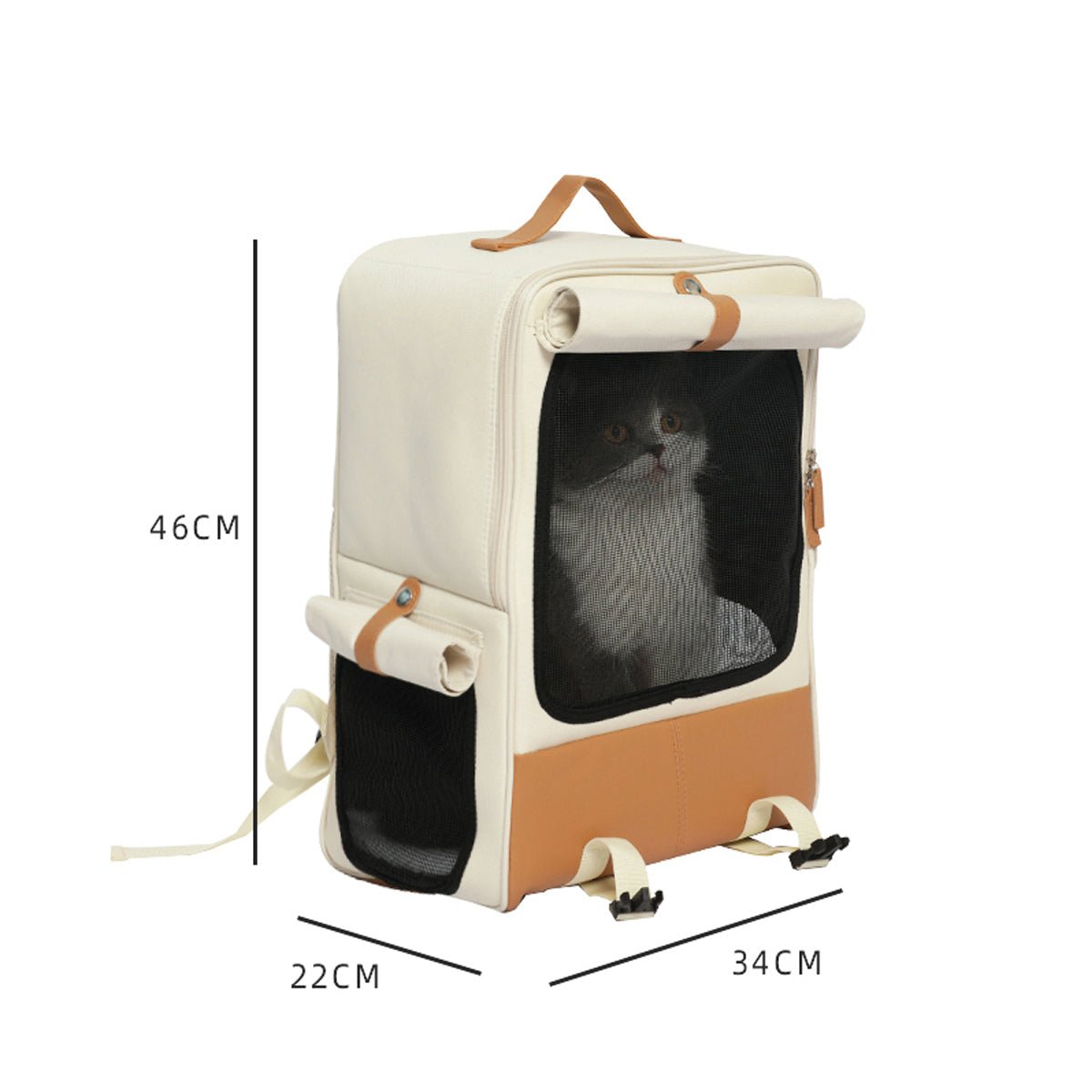 all dogs products all cats products all small animal products