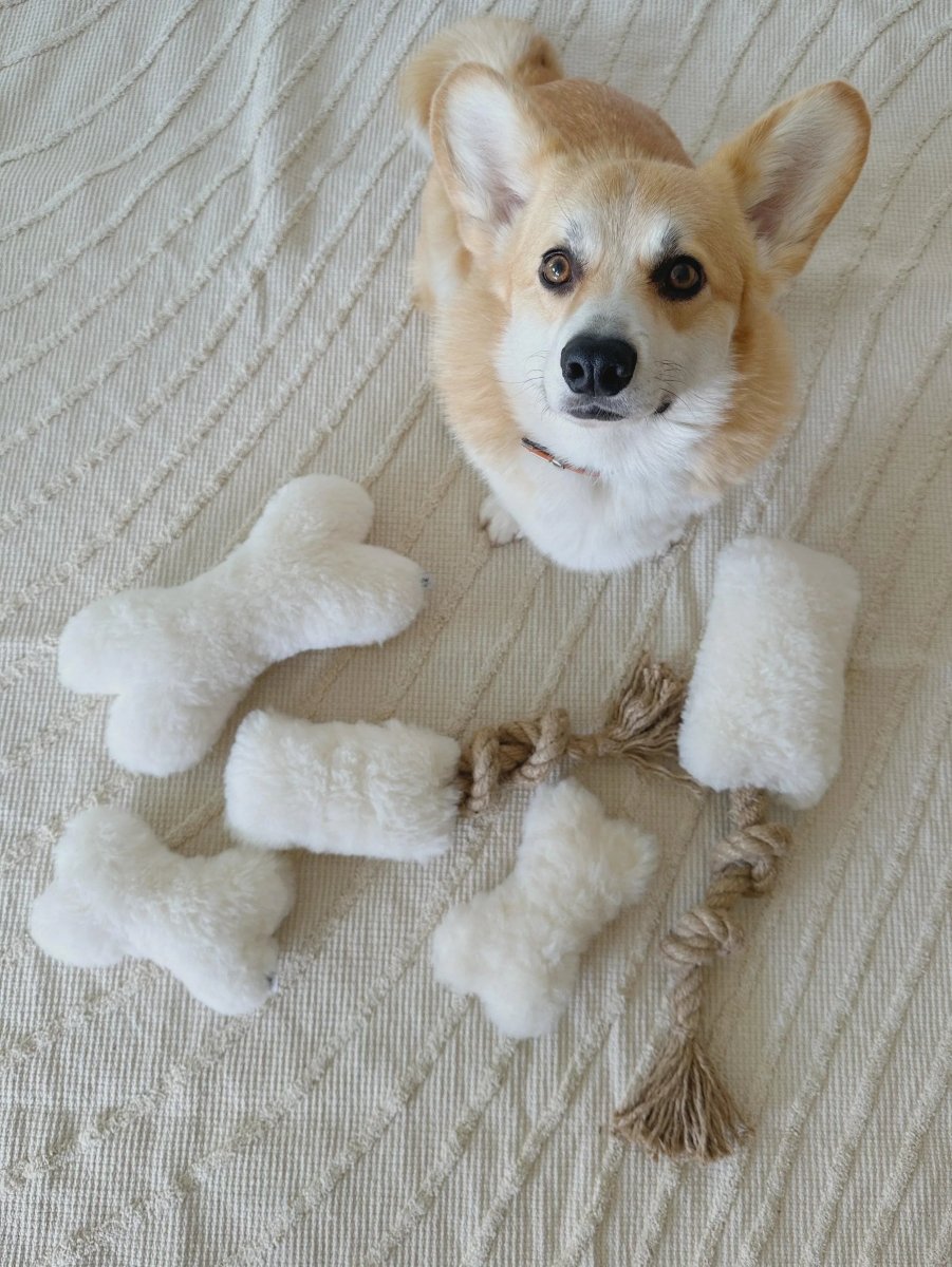 all dogs products all cats products all small animal products