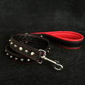 all dogs products all cats products all small animal products