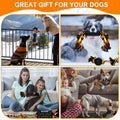 all dogs products all cats products all small animal products