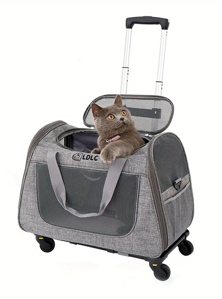 all dogs products all cats products all small animal products