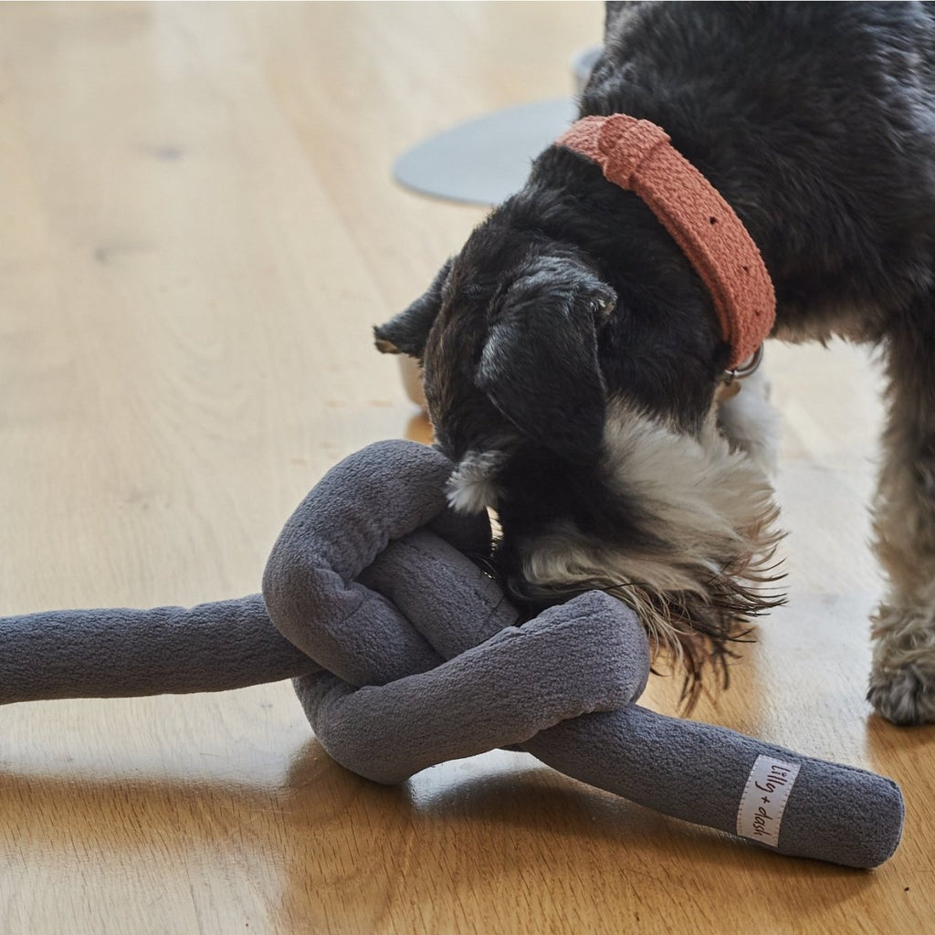 all dogs products all cats products all small animal products