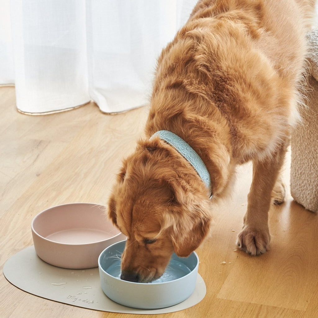 all dogs products all cats products all small animal products