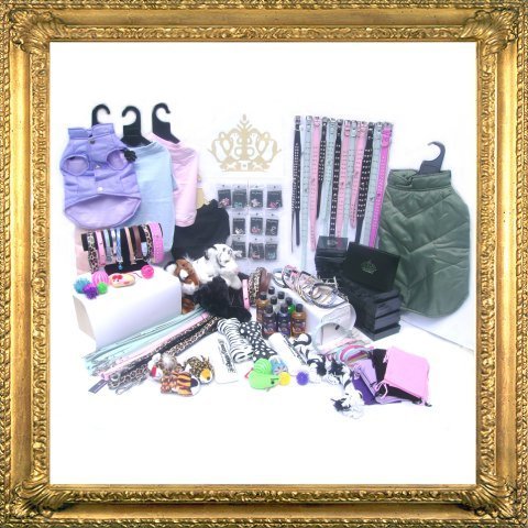 all dogs products all cats products all small animal products