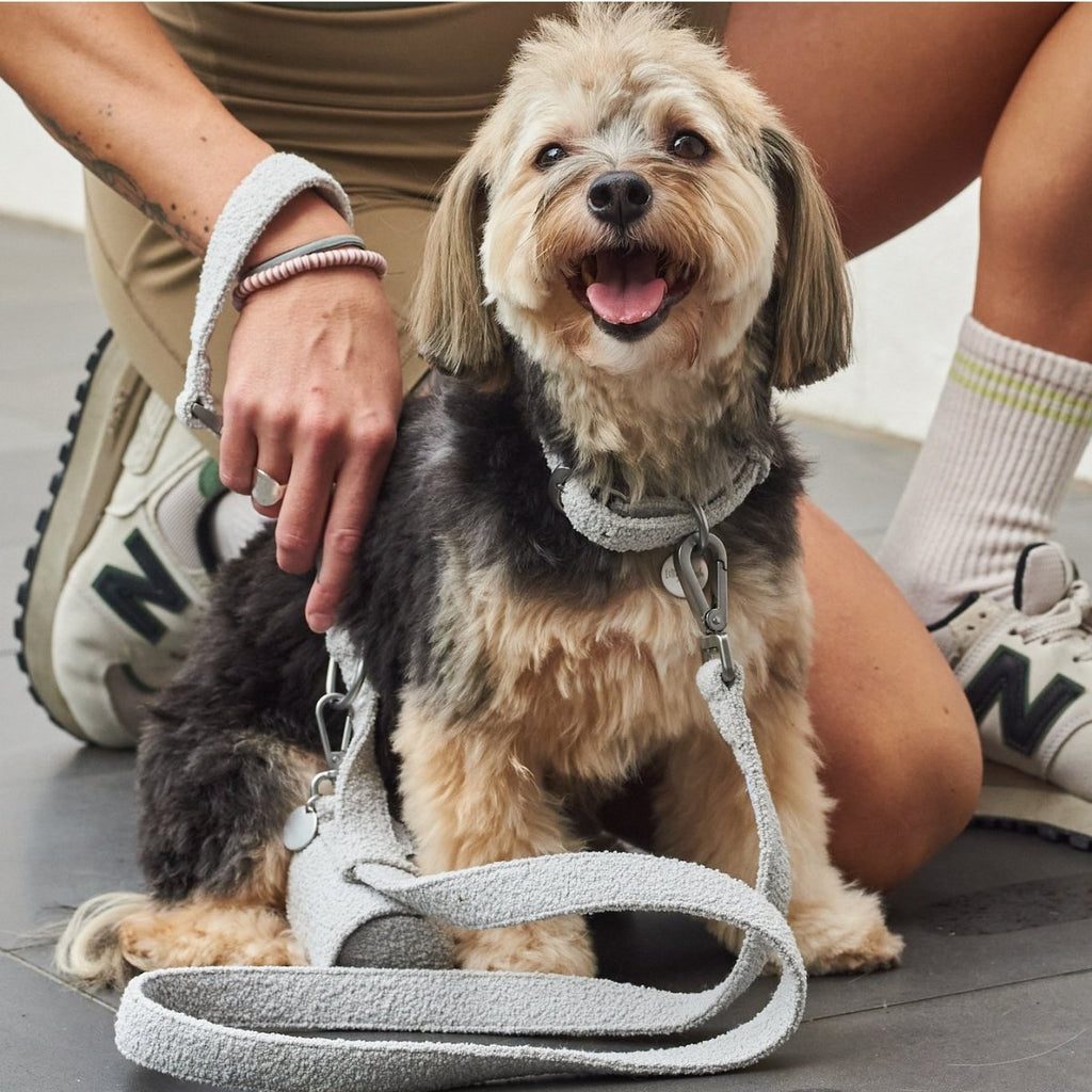 all dogs products all cats products all small animal products