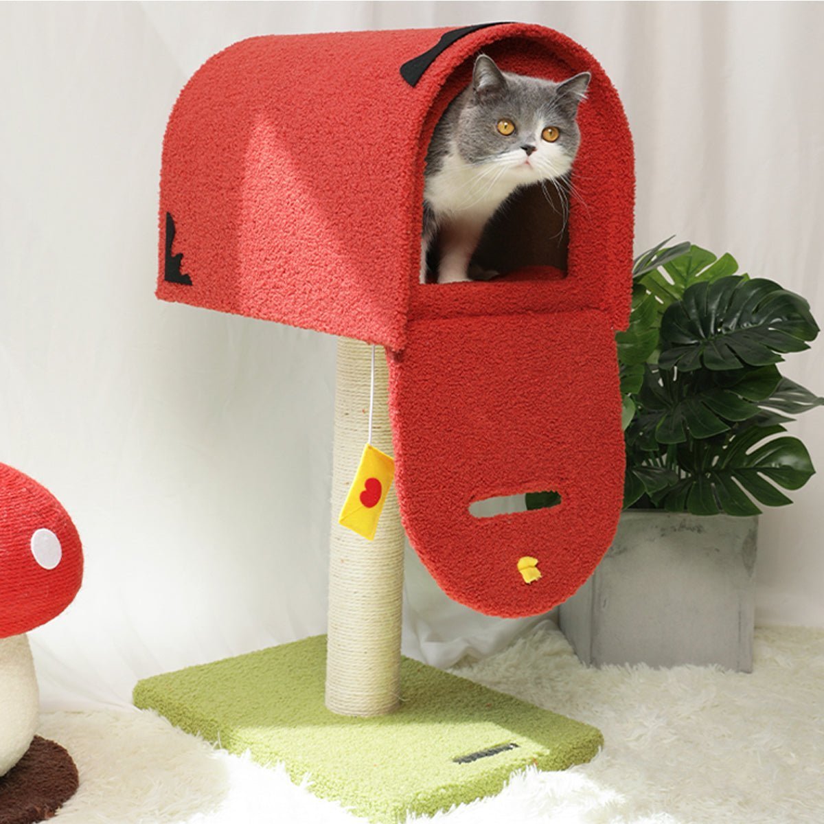 all dogs products all cats products all small animal products