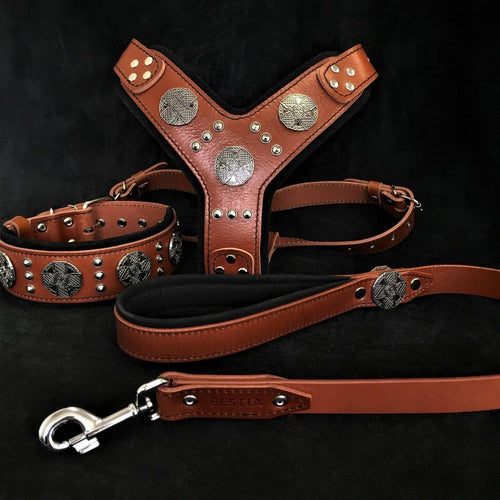 all dogs products all cats products all small animal products