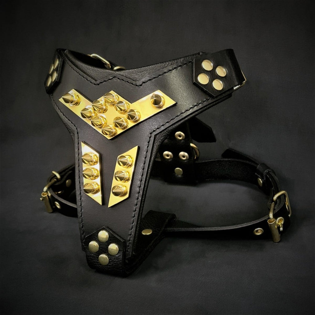 all dogs products all cats products all small animal products